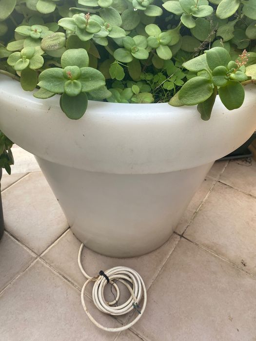 Vasos redondos grande 80cm com iluminação