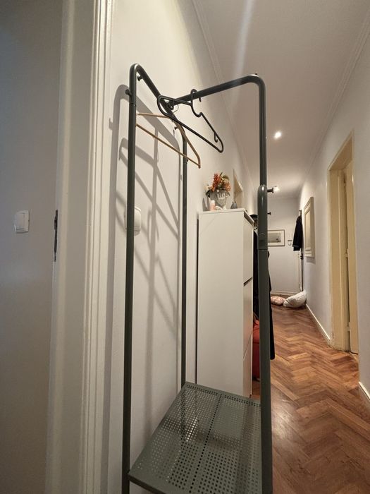 Bengaleiro como novo