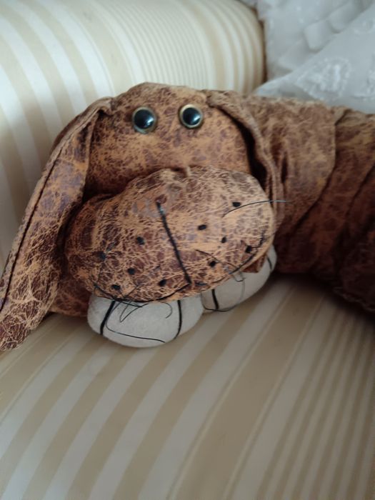 Protector portas frio cão