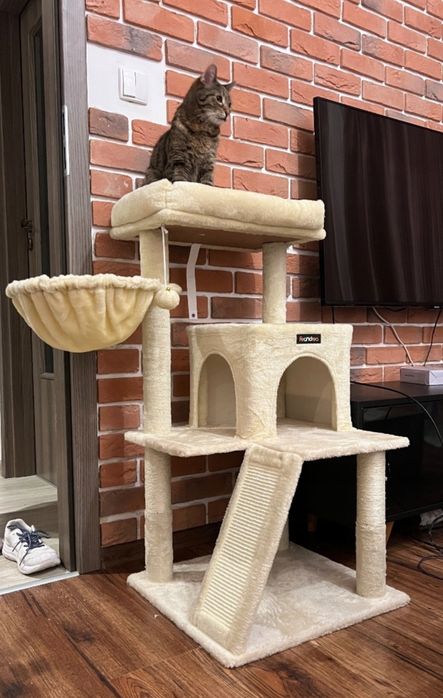 drapak legowisko słupek do drapania wieża feandrea 96 cm