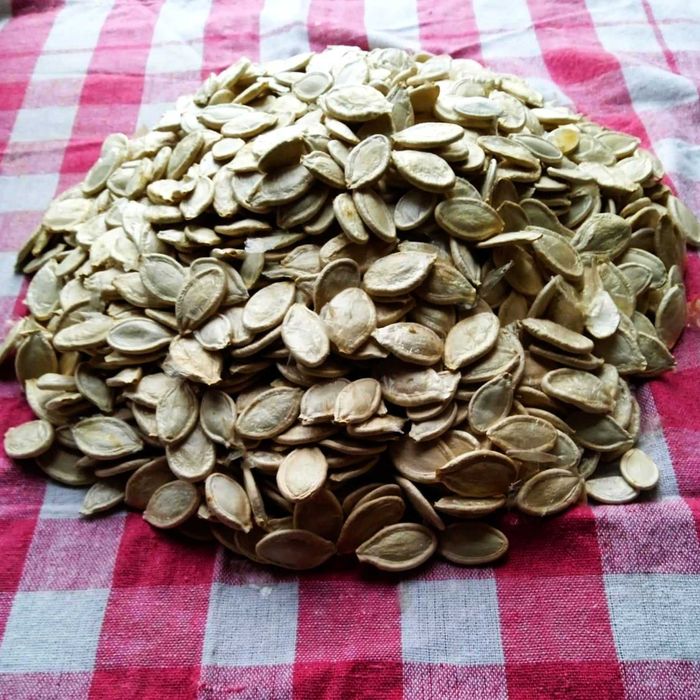 Pestki dyni oleistej - ręcznie wydłubane, delikatnie suszone, bez chem