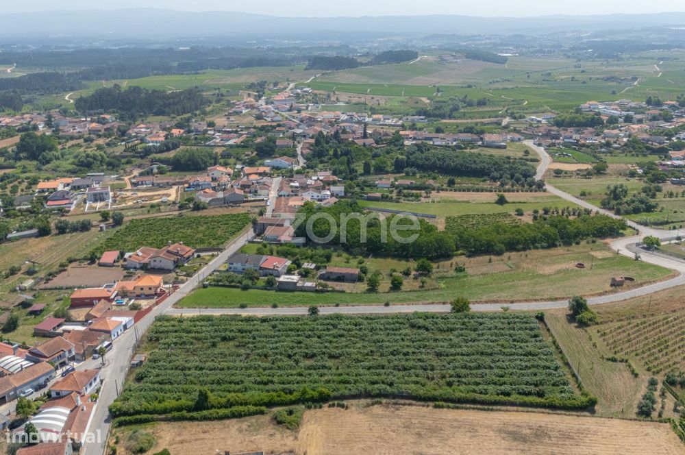 Terreno Terreno Urbanizável com Pomar Kiwis e Poço – Paredes do Bai...
