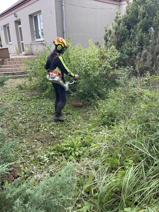 Koszenie trawy | Szybkie terminy | Bezpłatna wycena | Warszawa i okolice