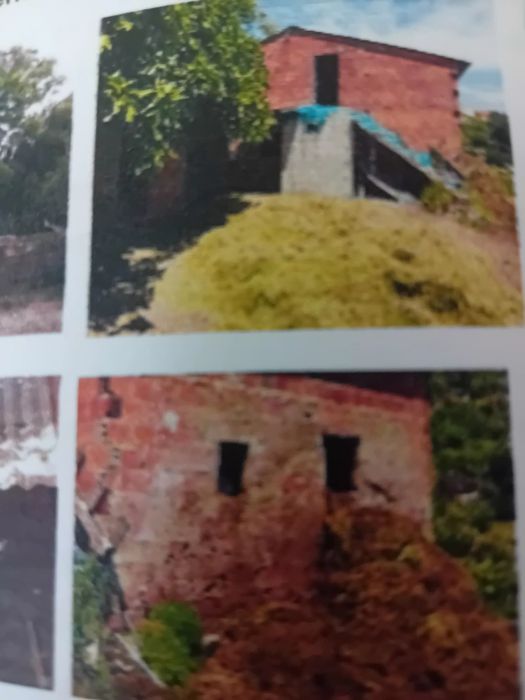 Quinta mista, parte urbana e rústica