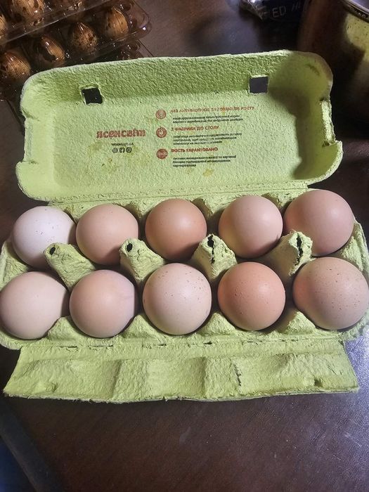 Перепела:Свіжі.Копчені.Яйця . Перепелині та Курячі.Молоді півники.