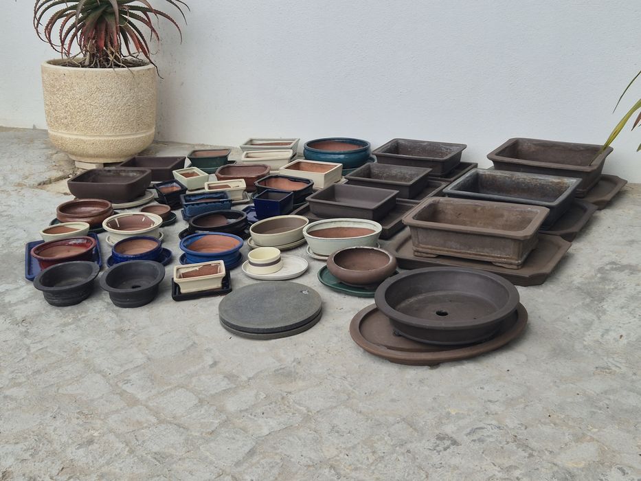 Vasos para bonsai