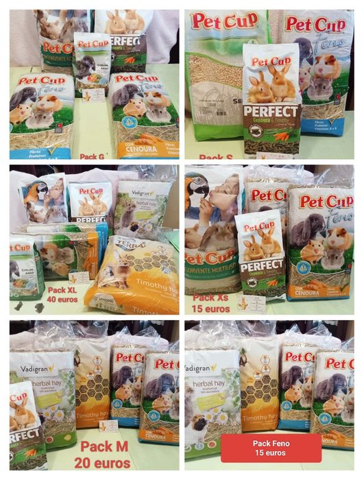 Coelhos anões entregas, acessórios, alimentação e rotas
