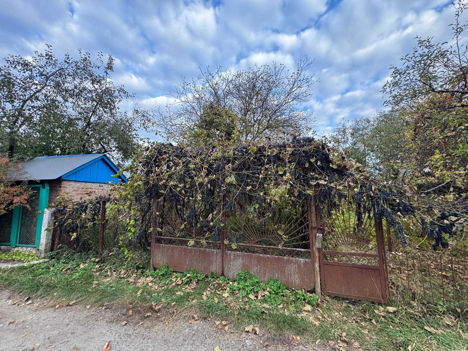 ділянка  Вороніна біля русла