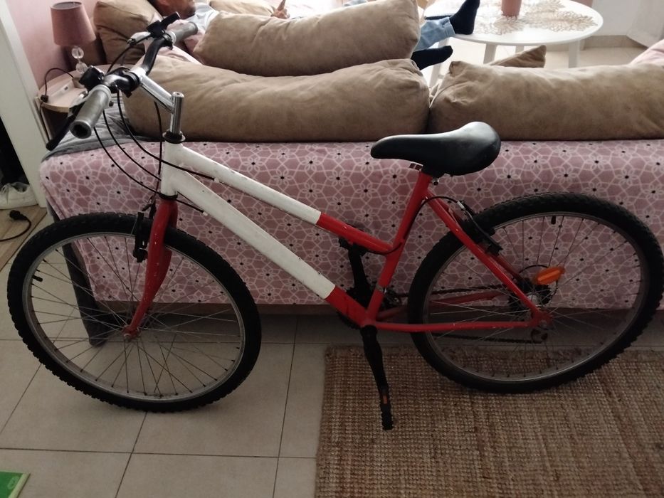 Bicicleta grande