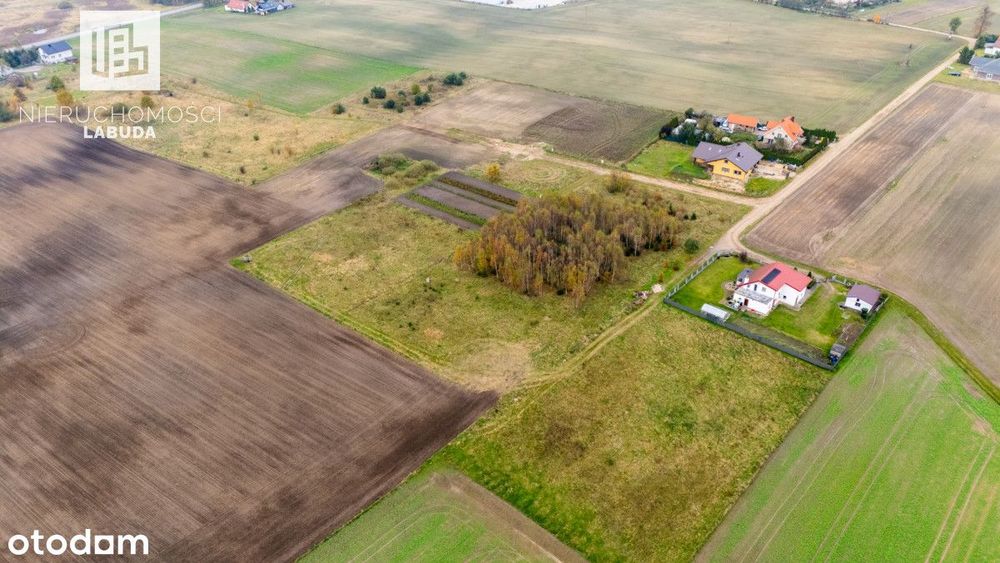2 działki budowlane w Mpzp – Borcz