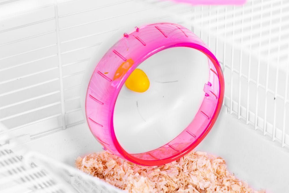 NOWA Klatka dla chomika ZooVera i małych gryzoni z pełnym wyposażeniem