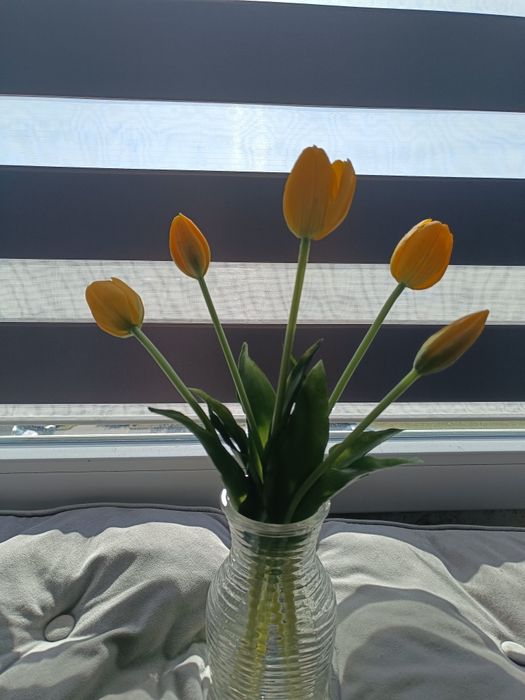 Tulipany silikon/guma