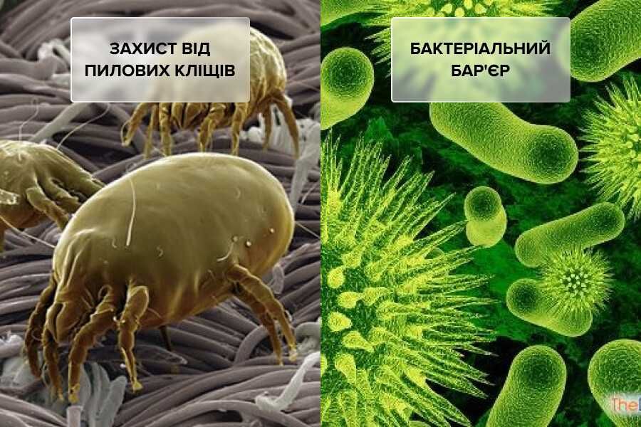 Наматрасник захисний Point Art Econom із гумкою по колу