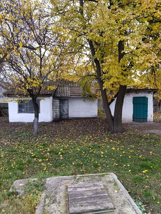 Будинок у тихому місці. ЄВідновлення