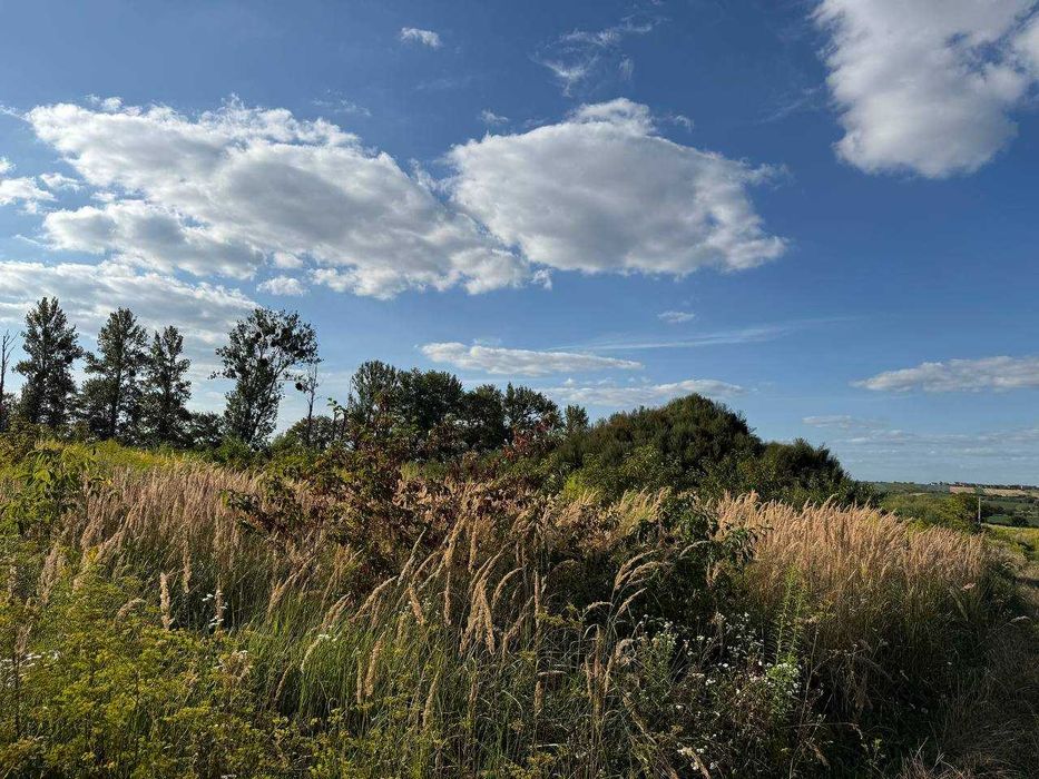 земельна ділянка 10 сот. ОЖБ с. Малі Підліски