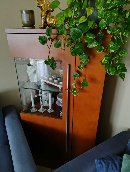 Sprzedam meble w kolorze brązowym.