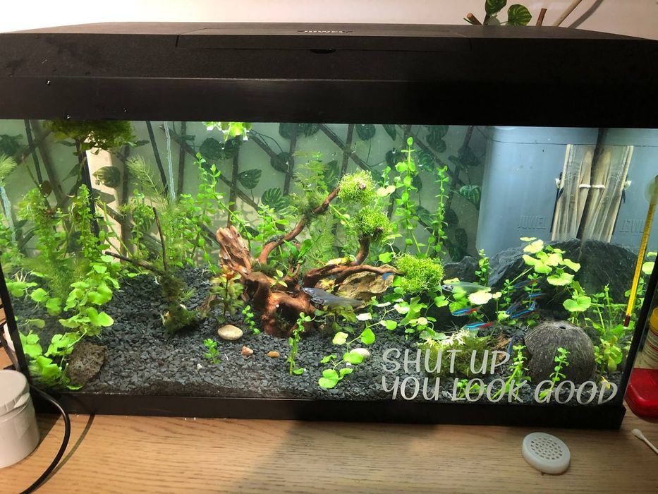 Wymienię akwarium 60L na 90-100L