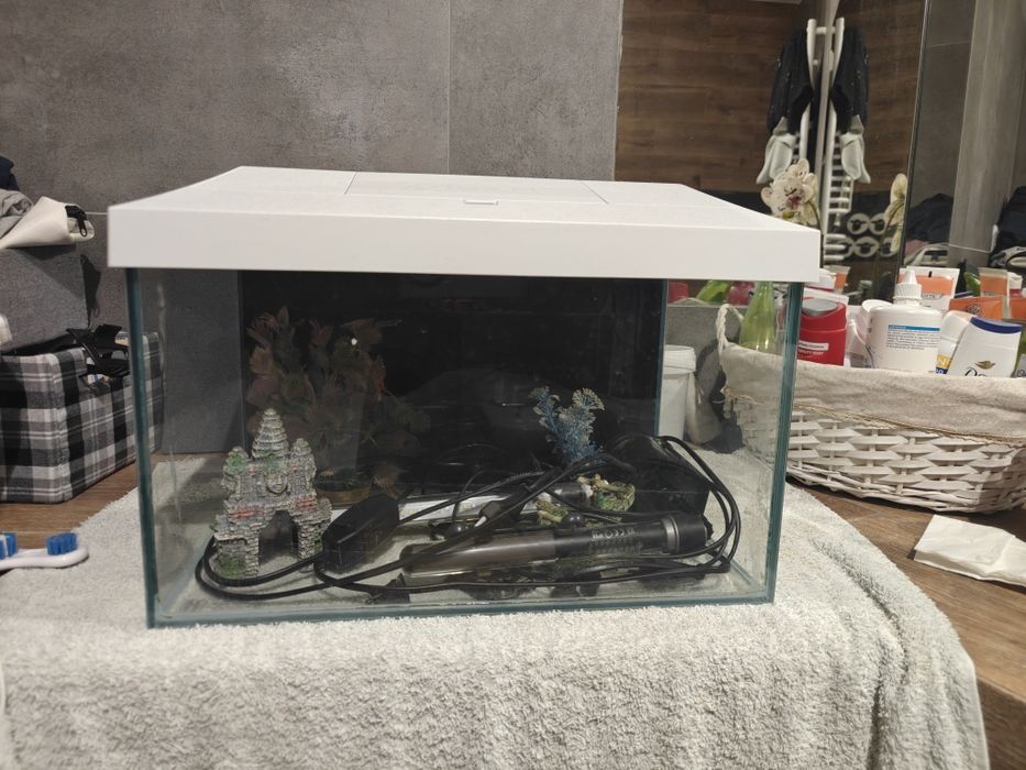 Akwarium Leddy Set 25l Aquael + Dużo dodatków