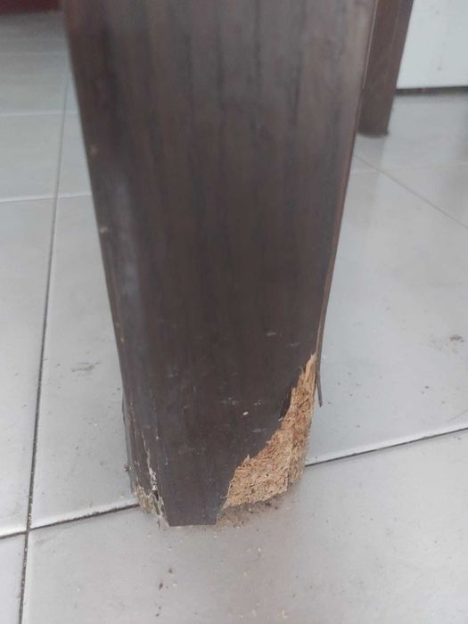 Mesa de jantar ofreço e cadeiras