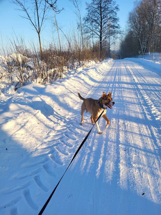 Slayer, drań którego każdy pokocha