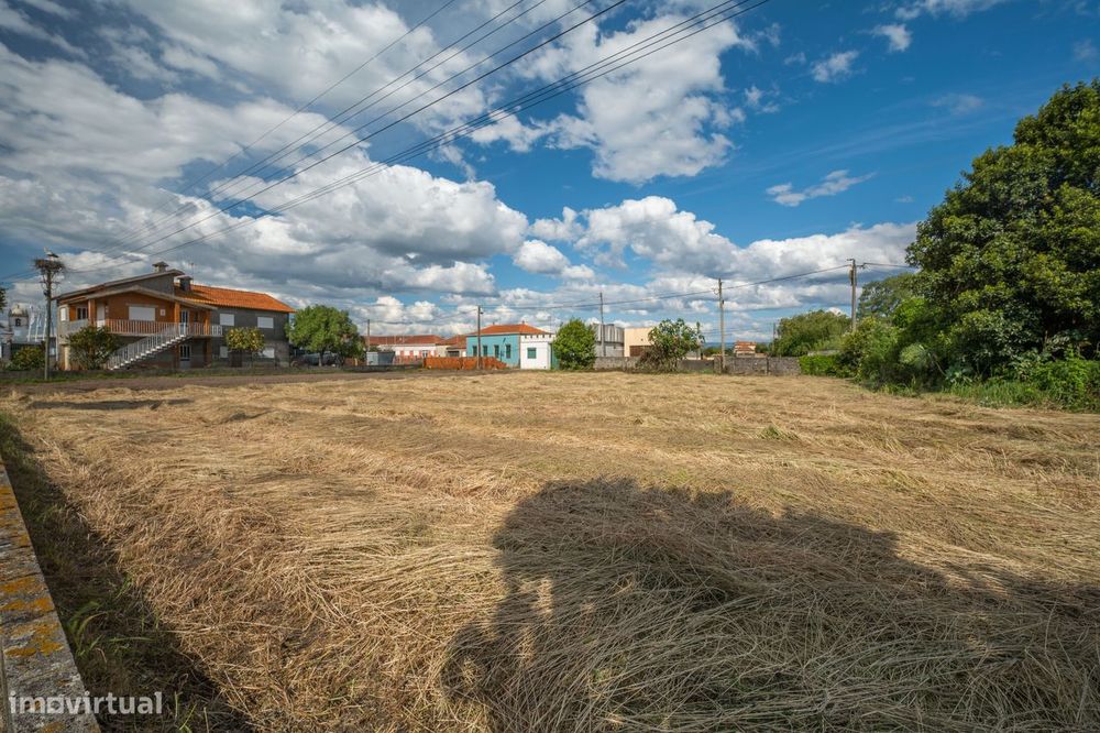 Terreno na Murtosa