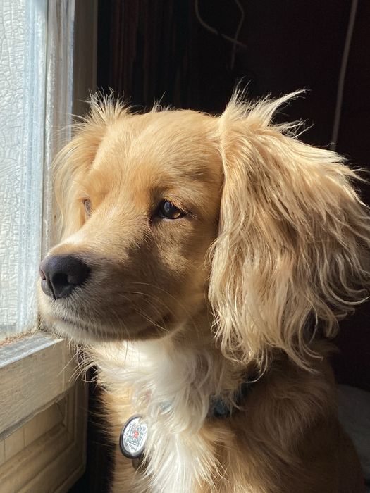 за винагороду!!!