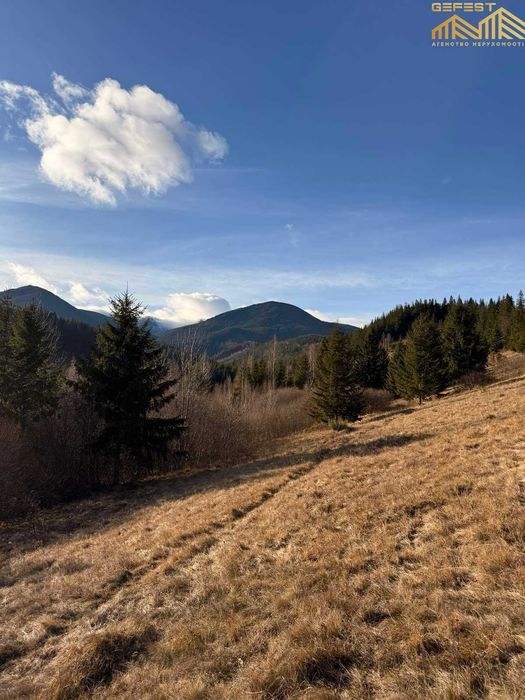 Дземброня. Верховинський район. Нерухомість. Земля. Карпати. 50сотих