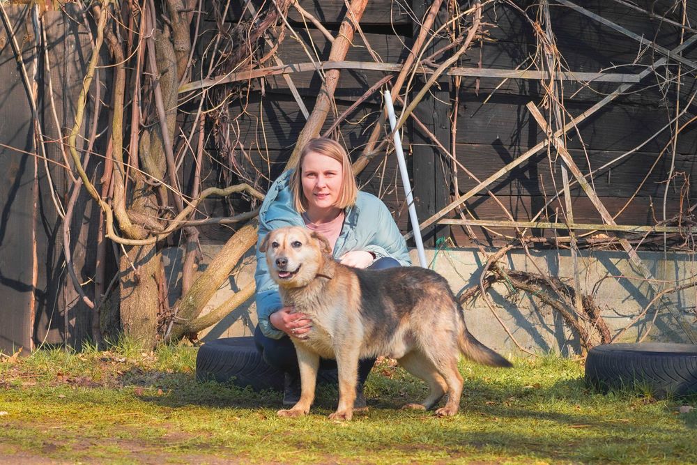Paryż - rewelacyjny pies szuka domu