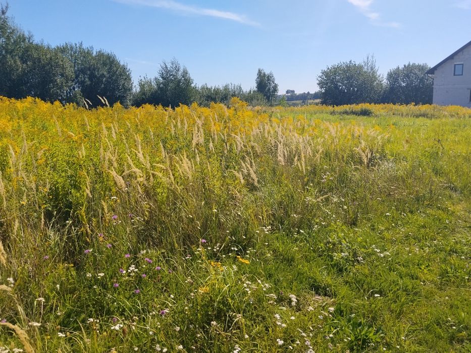 Продаж земельної ділянки в Мостиськах