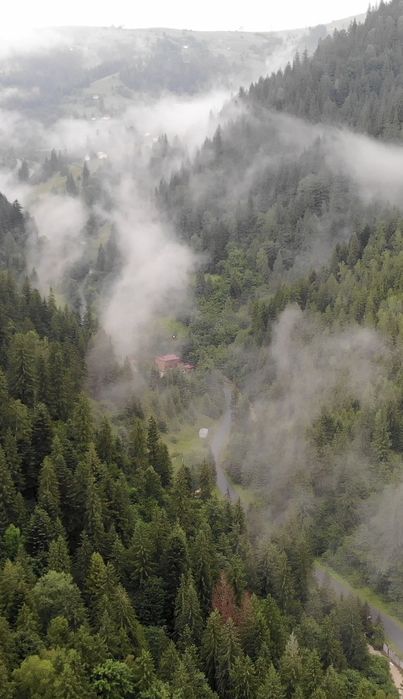Відпочинок в Карпатах номер з окремим входом і кухнею .