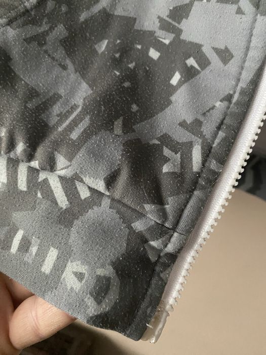 Szara bliza z kapturem