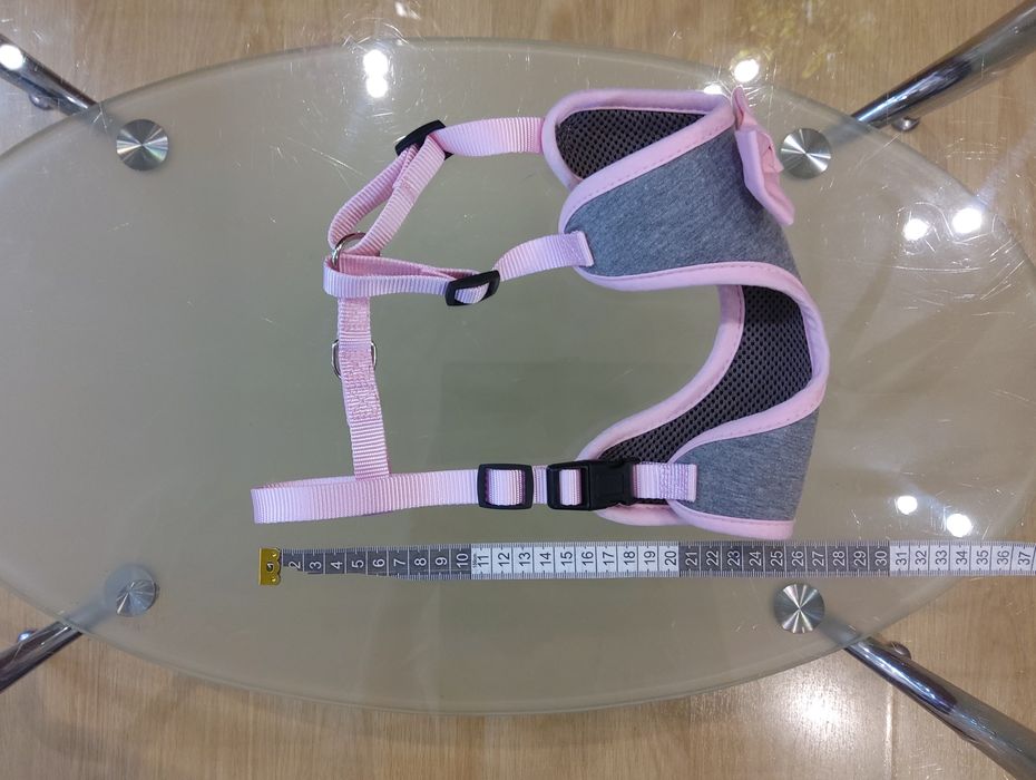 Шлея, шлейка для таксы