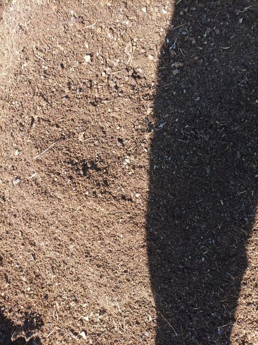 Перегной коровий