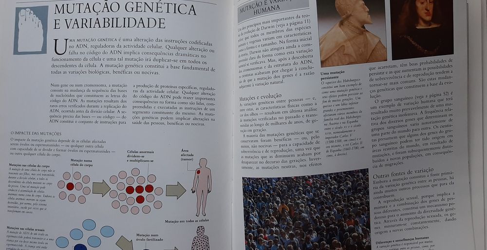Biblioteca médica da família