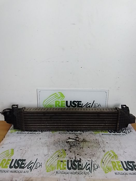 Radiador do intercooler FORD C-Max (DM2)