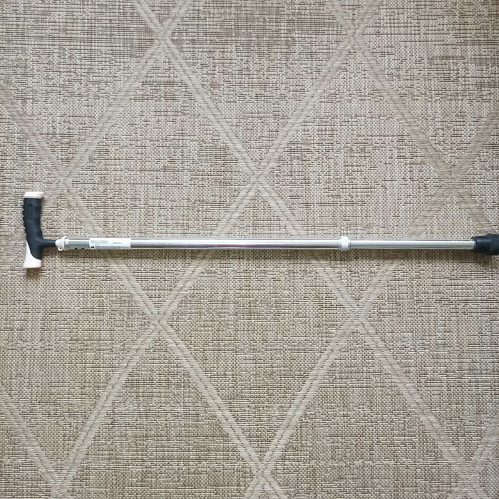 Палиця трость тростина