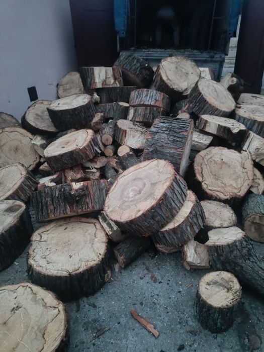 Дрова твердых пород 1500