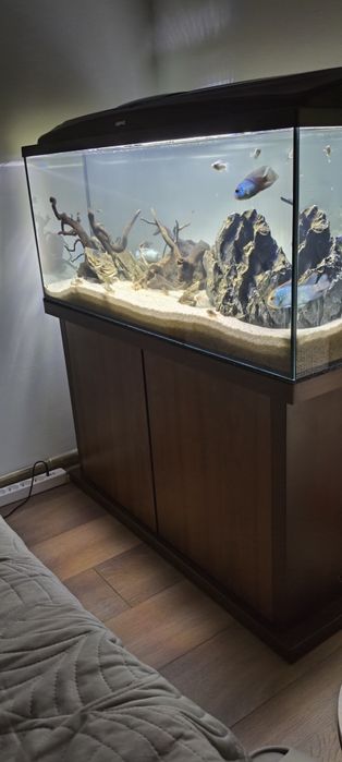 Akwarium Aquael  160 litrów z pokrywą, światłem i szafką.