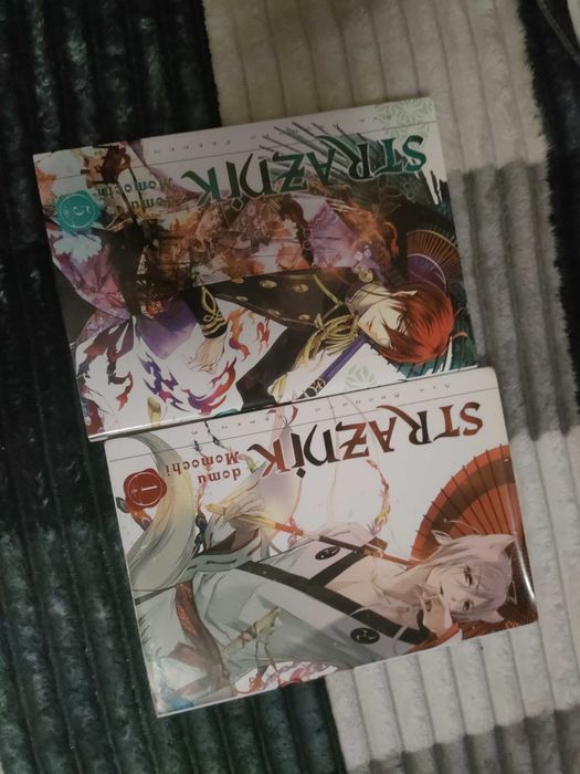 Strażnik domu momochi manga