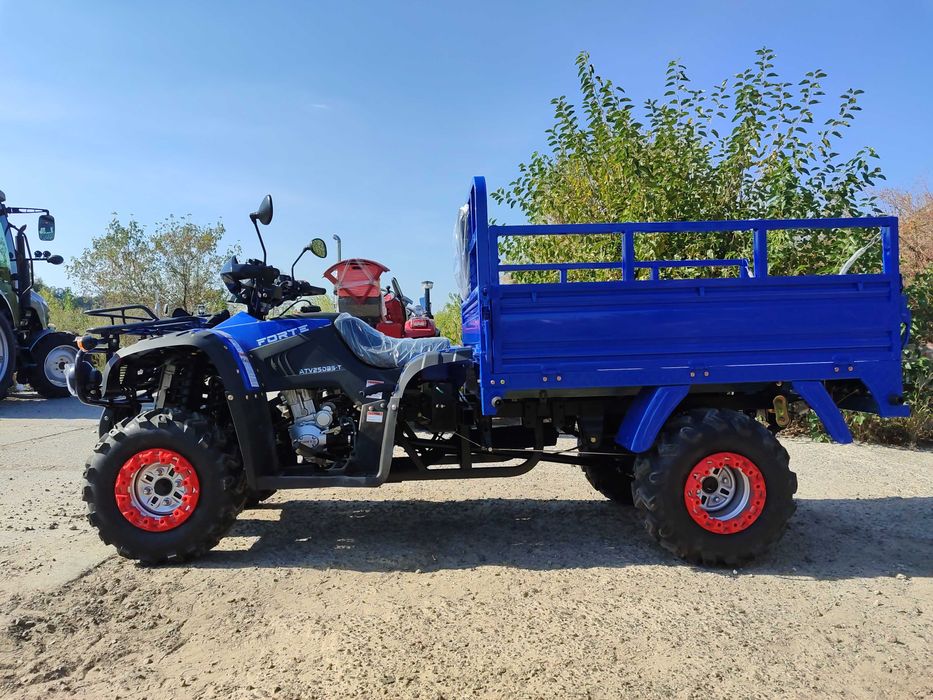 Грузовой квадроцикл Форте Башан 300сс