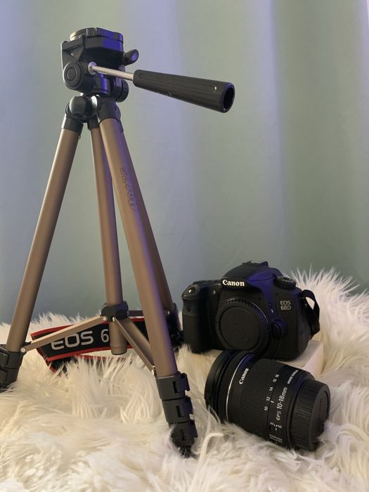 Câmera Canon EOS 60D + Lente Canon 10-18mm + Acessórios