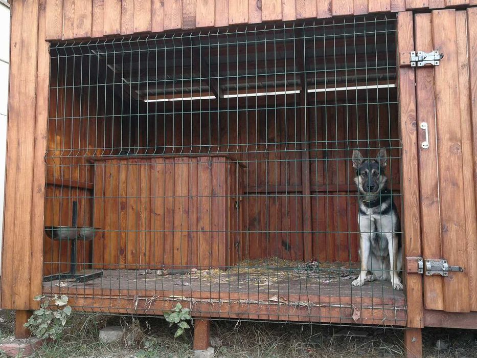 Будка для собак деревянная