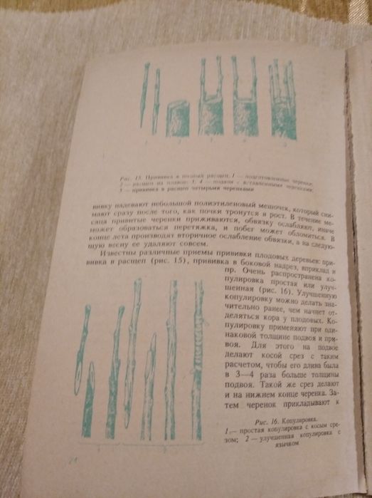 Яблоня в вашем саду Гусева И.Н. 1991 книга садовода советы садовнику