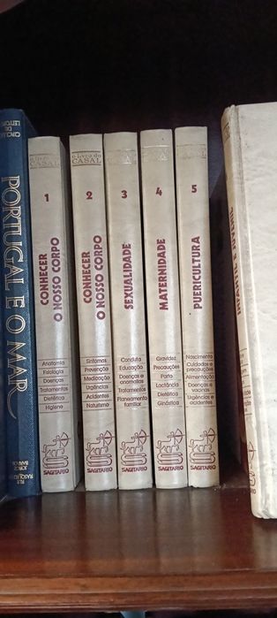 Coleção  livro do casal