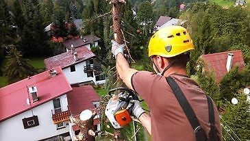 Wycinka Drzew, Pielęgnacja drzew, Frezowanie Pni, Usługi rębakiem