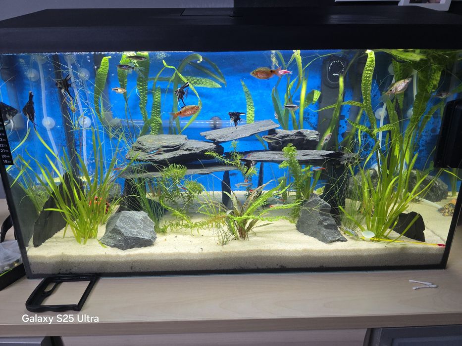 akwarium aquael  leddy day night 75 black