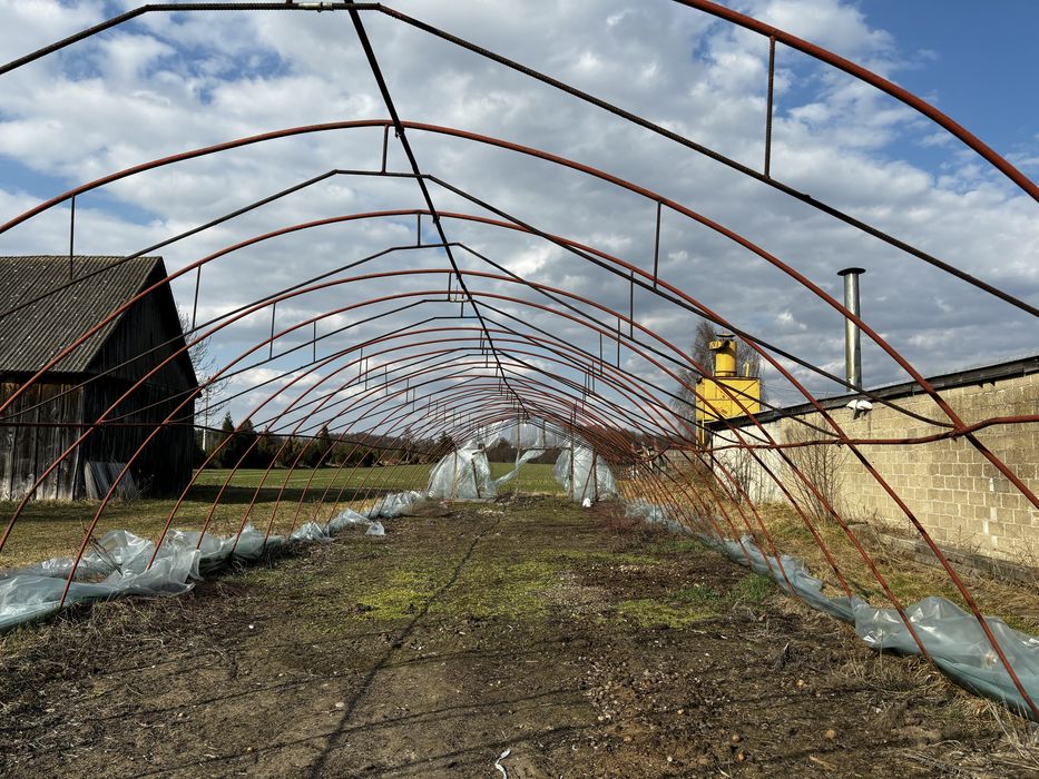 Pałąki na sprzedaż, szklarnia tunel foliowy