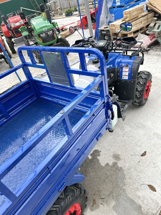 Вантажний квадроцикл Forte ATV300BS-T