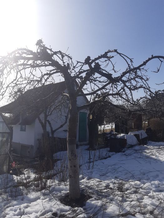 Działka ROD Suwałki Borówka
