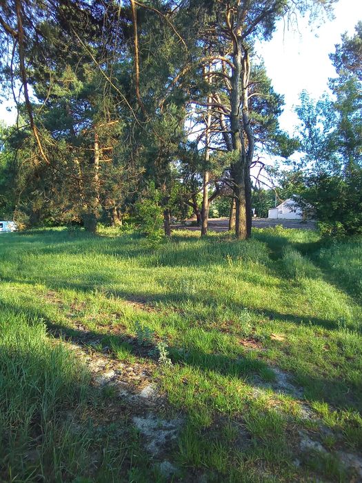 Продам будинок на ділянці